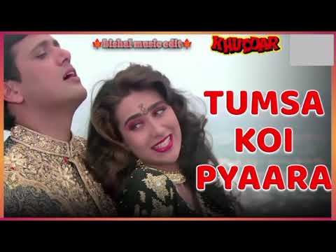 Tumsa Koi Pyaara Lyrics | Remix Song | Govinda | NCS | Karishma Kapoor | @bishalmusicedit7319