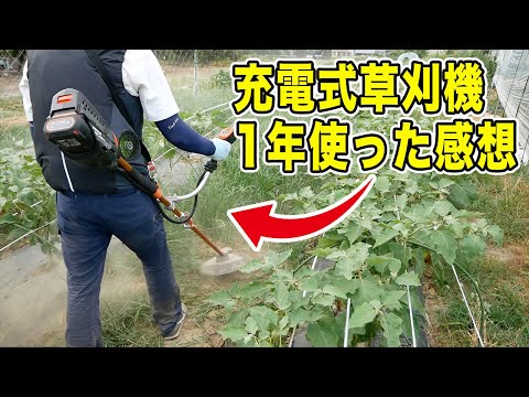 充電式草刈機1年使った感想　パワーは？バッテリーの持ちは？