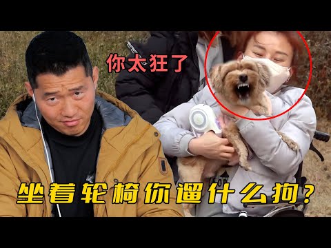 殘疾主人養了條瘋狗，被訓犬師禮貌建議，先照顧好自己再養狗