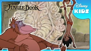 🐒 Monkeys Ambush Mowgli! | Jungle Book | Disney Kids