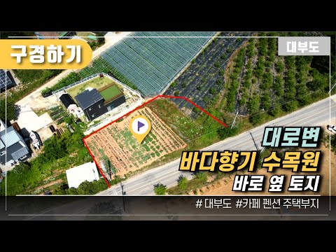 (구경하기 No.1105) 대로변 수목원 바로 옆 토지 / 대부도부동산