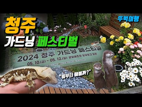 [korvlog SUB] What Happened at a Garden Festival in a Small Town in Korea