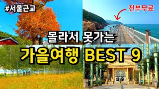 서울근교 당일치기 여행지 9곳 (전부 무료!) /9월 10월 가을 경기도 가볼만한 곳 국내여행 드라이브