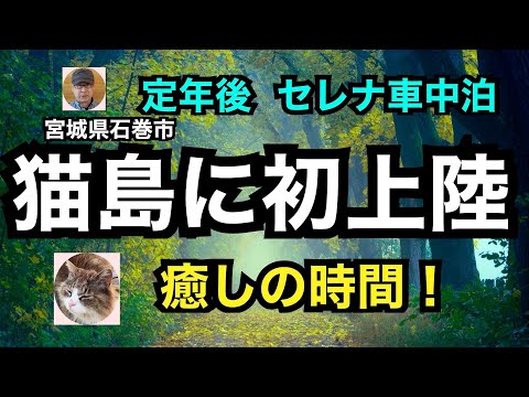 定年後　セレナ車中泊「猫島に初上陸！」癒しの時間　宮城県石巻市