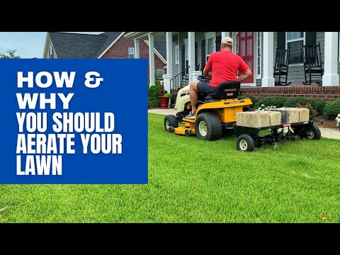 How & Why You Should Core Aerate Your Lawn - DIY Plug Aeration