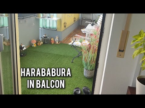 Daily Vlog😊Harababura in balcon, noi schimbări!!!