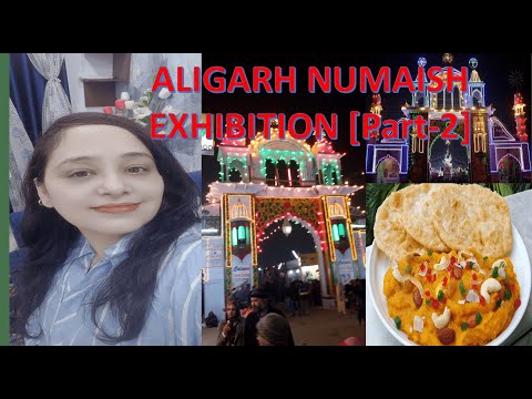 Aligarh Exhibition (Part 2) | Aligarh Numaish | अलीगढ नुमाइश #aligarh #aligarhexhibition #fun #mela