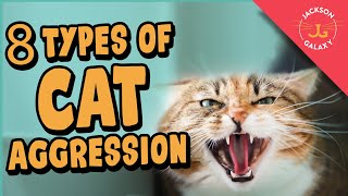 8 Types of Cat Aggression Explained!