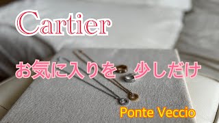 【ジュエリー紹介】この2本だけで大満足！アラフィフ主婦の愛用ネックレス【Cartier カルティエ　ラブ　サークルネックレス】