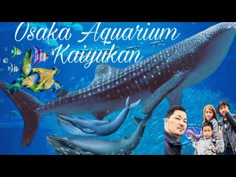 海遊館 Osaka Aquarium KAIYUKAN