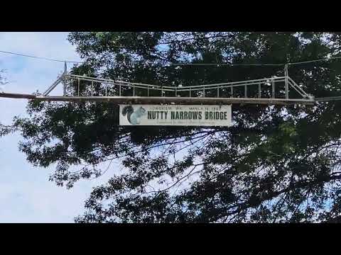 Longview, Washington, is the only city I know of that has functional bridges for squirrels.