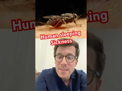 Human sleeping sickness and the deadly tsetse fly #shorts