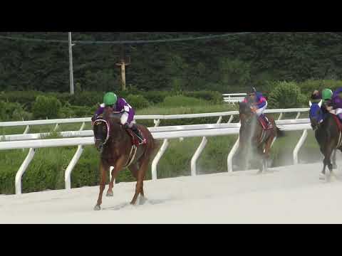 世代別牝馬重賞シリーズ「グランダムジャパン」2歳シーズン開幕戦、第26回園田プリンセスカップ1400mは門別から遠征の3戦3勝⑦リオンダリーナ（父モーニン 小国博 下原理54）が2着に5馬身差の圧勝！