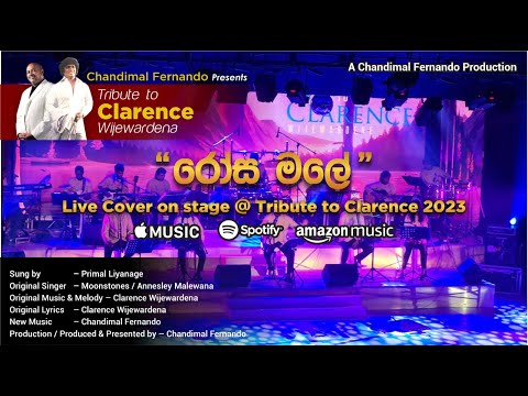 Rosa Malay Live Cover @ "Tribute to Clarence 2023" by Chandimal Fernando