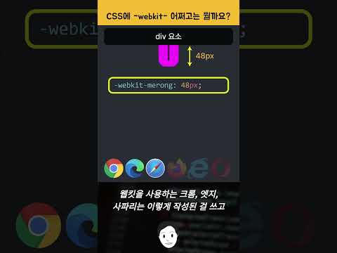 CSS에 -webkit- 어쩌고 몇 줄씩 있는 코드들은 뭘까?