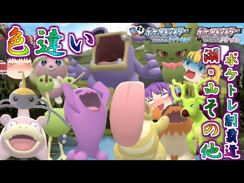 【ポケモンBDSP】色々大量発生したから色違い欲しい…シンジ湖・リッシ湖・エイチ湖・テンガン山・その他もろもろの色違いポケトレで全部ゲットしちゃお♡【ゆっくり実況】