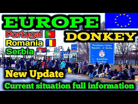 Europe donkey new update | Donkey latest update | Serbia donkey | Romania donkey