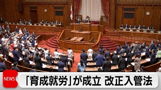 技能実習制度を廃止　「育成就労」が成立 改正入管法