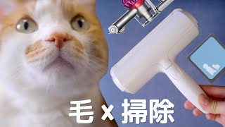 【お悩み解決】猫の毛お掃除アイテム！