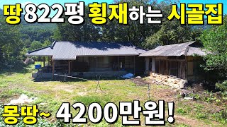 땅822평 초헐값 시골집! 수~억짜리 대폭락 결국~몽땅 4,200만원! 텃밭이 축구장 수준~