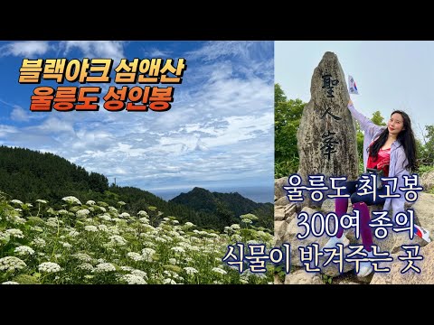 울릉도 최고봉, 성인봉 등산lKBS울릉중계소-팔각정-성인봉-원점회귀, 4시간l300여종식물분포, 특종식물 40종!!!l블랙야크섬앤산인증