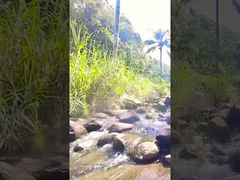 The sounds of river water flowing for sleep #nature #river #riversounds #soothingsound #relaxing