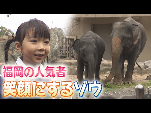 2024年の福岡を振り返る　福岡市動物園に7年ぶりにゾウがやってきた　9月には12歳のメスのゾウが急死