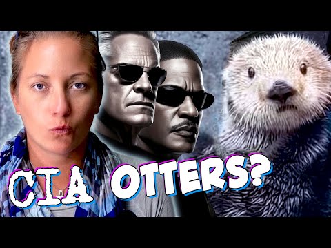 The CIA Wanted to Use Sea Otters As Spies