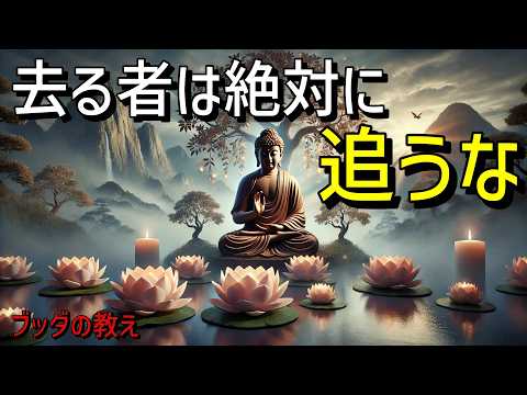 【ブッダの教え】去る者は絶対に追うな。心の静寂と悟りの一端。