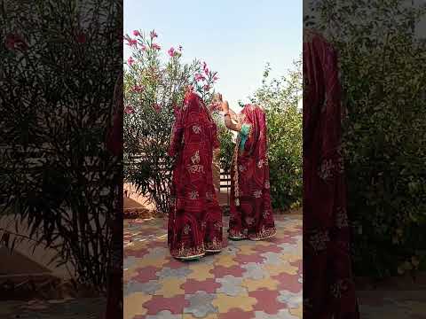 #newsong #music #song rajasthani marwadi viral video