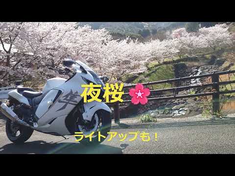 ＃新型隼＃桜ツーリング＃女性に＃人気上昇中＃Hayabusa＃カッコいいと言われ笑顔