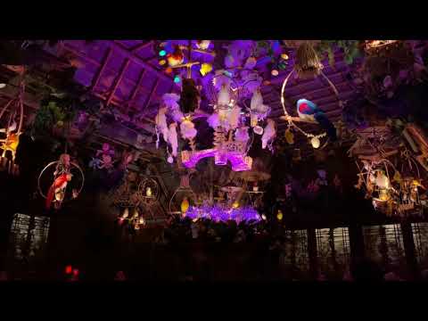 Enchanted Tiki Room at Disneyland - My Favorite Parts