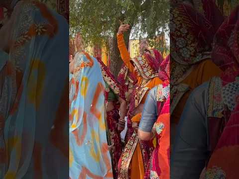 Rajasthani dj dance #youtubeshorts #viralvideo #shorts #rajasthani #dance ce