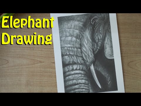 elephant drawing and shading