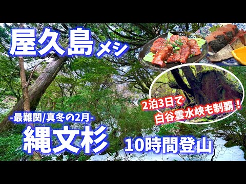 【真冬の屋久島】ご当地グルメもトレッキングも完全攻略！「全長22kmの縄文杉」&「白谷雲水峡(トトロの森)」をW制覇する2泊3日の癒され旅！〜冬の九州旅行PART1〜