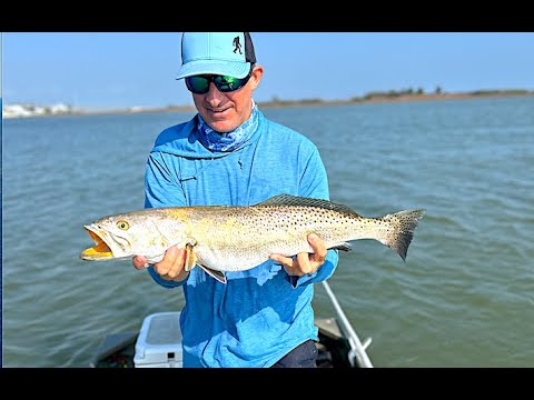 THIS GATOR TROUT was right by the BOAT RAMP! aransas pass tx