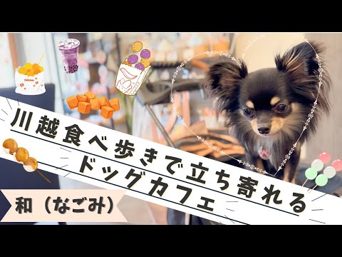 川越食べ歩きで立ち寄れるドッグカフェ【和（なごみ）】/埼玉県川越市