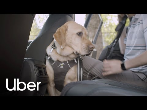 Equal access to transportation for all | Uber