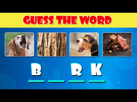 Guess the Word by 4 Pictures