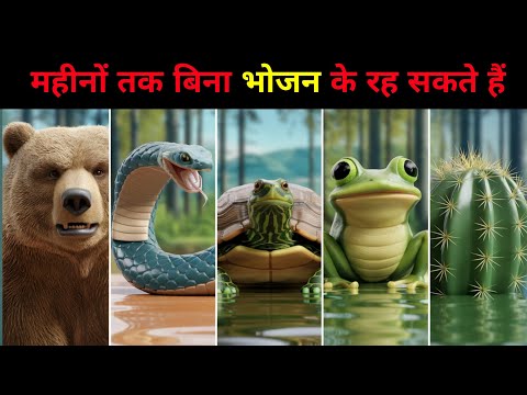 महीनों तक बिना भोजन के रह सकते हैं | can live without food for months