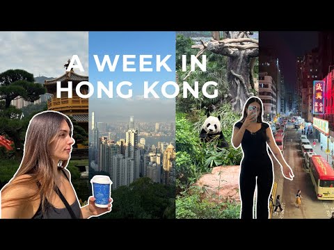 HOW TO SPEND A WEEK IN HONG KONG! Peak View Point, seeing Giant Pandas and going to Macau!