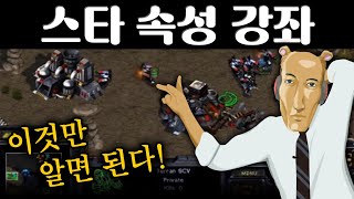 스타크래프트 완전 뉴비분들을 위한 속성 설명