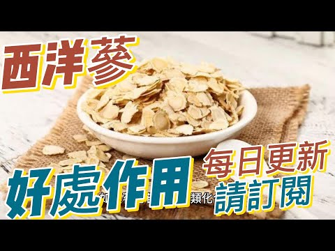 EP148 西洋参North American Ginseng 的好處與作用 提供抗氧化作用 提供抗