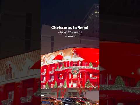 【クリスマス2024】驚異的な韓国明洞のクリスマスイルミネーション #christmas