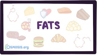 Fats