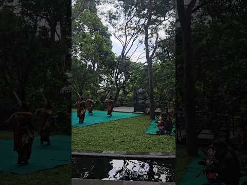 원숭이와 함께했던 발리 전통 공연 traditional performance in monkey forest, bali