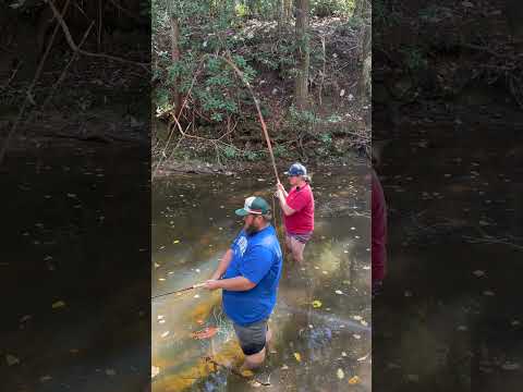 Fly Fishing For Big Trout in a Mountain Creek! #trout #flyfishing #fishing #mountains