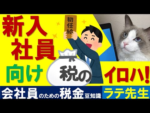 【所得税】新入社員の知っトク税金豆知識/猫好き税理士