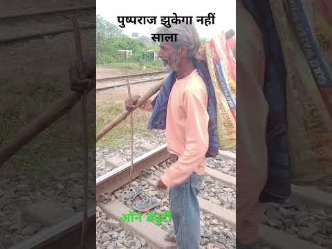 ##@भारत रेल का यह बादशाह अपने आप को कहता है पुष्पराज झुकेगा नहीं @##train #munger #railway #india