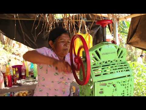 Diversificación agroecológica en finca Las Magnolias